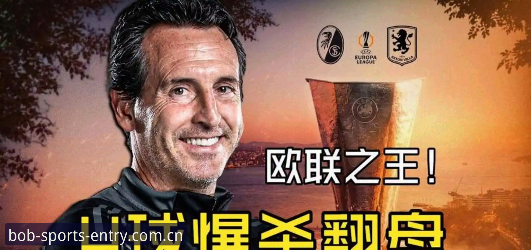 阿斯顿维拉欧联杯夺冠深度评测：从埃梅里战术体系看Bob半岛平台赛事体验